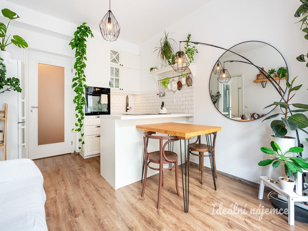 2+kk, Smolenská, Praha, 48 m²