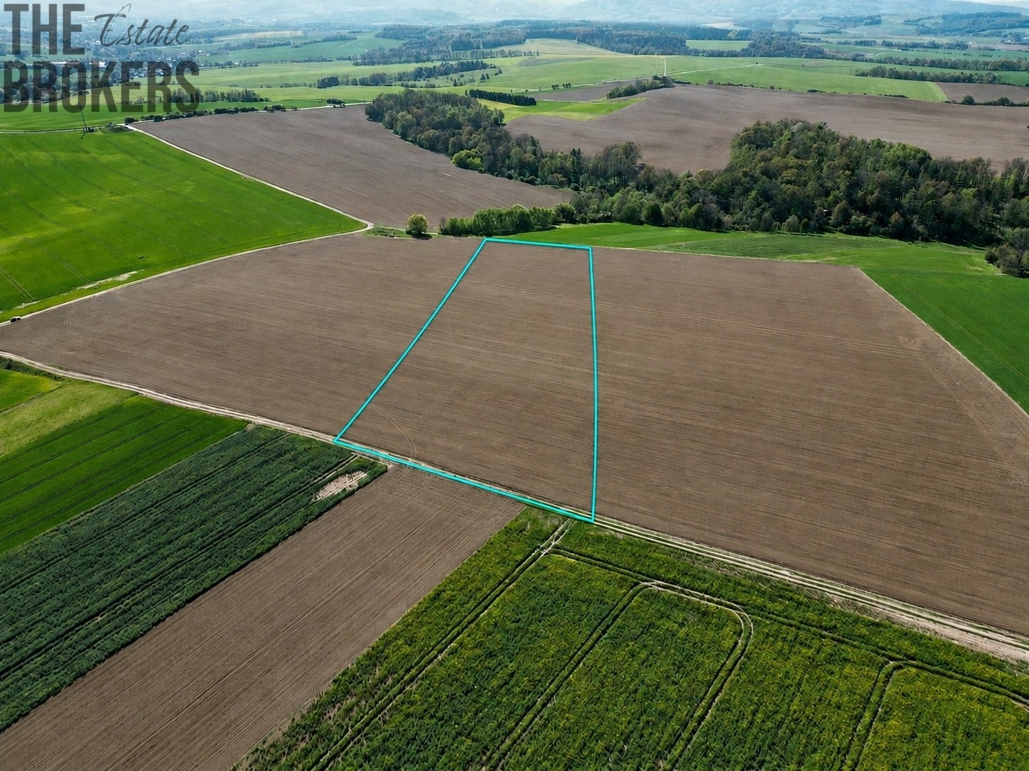 Zemědělský pozemek · 30 796 m² · Turovice - 3