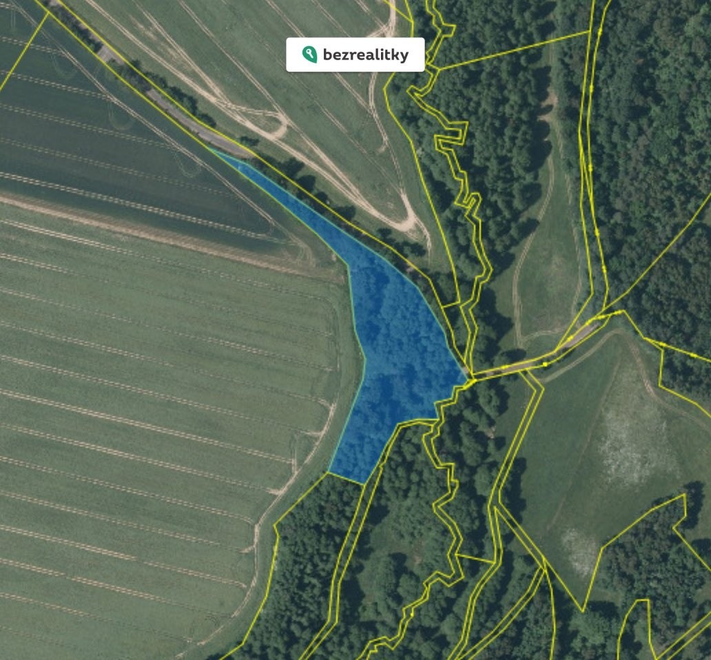 Prodej les - Lipová - 1