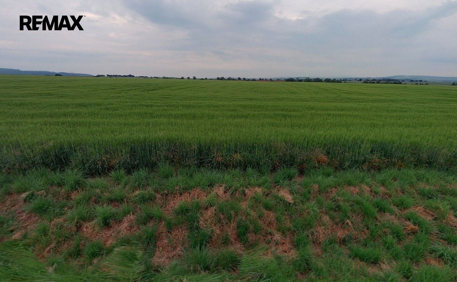 Zemědělský pozemek · Habrovany, okres Vyškov, Jihomoravský kraj - 4