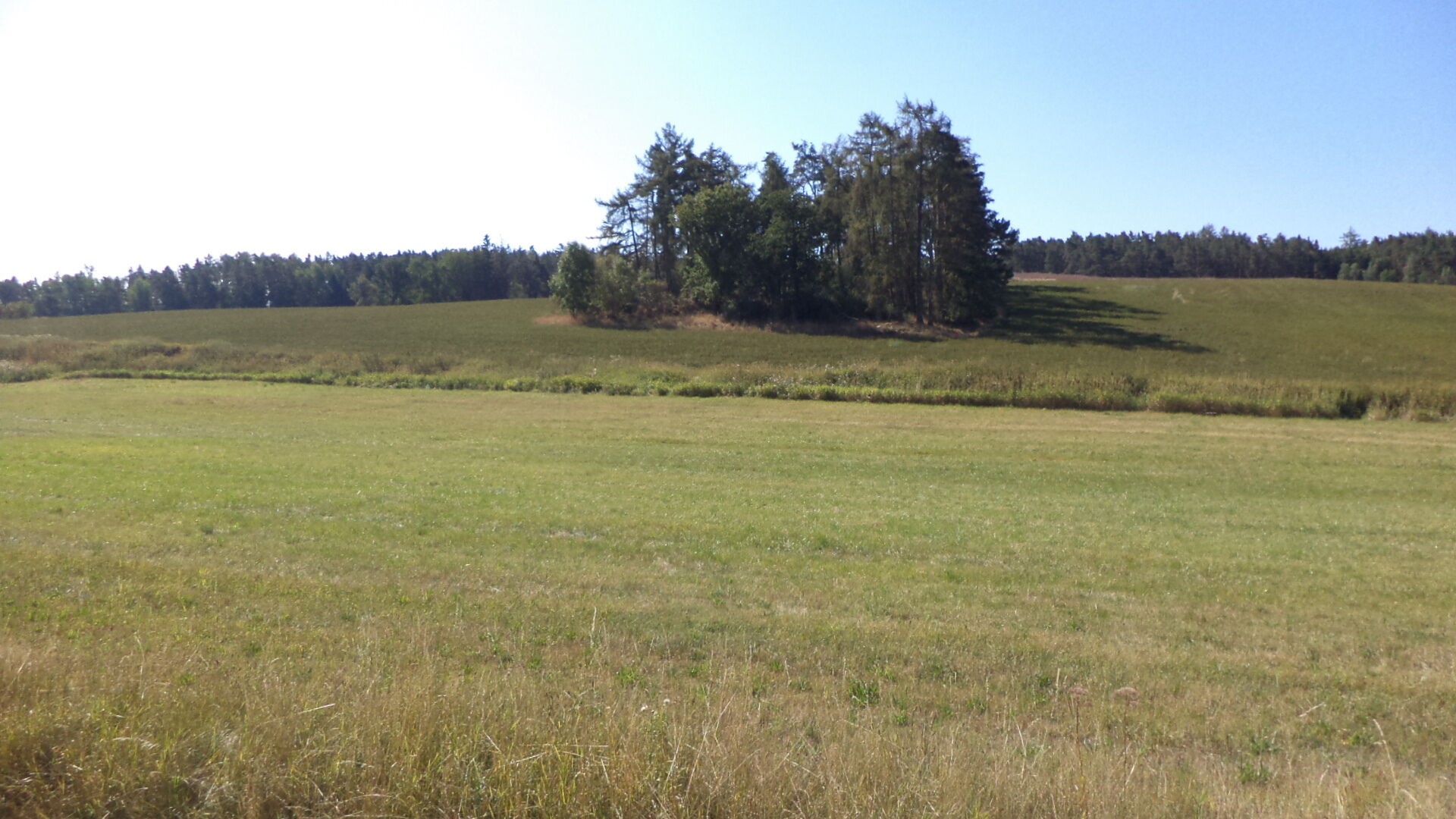Zemědělské pozemky, Srby, 2 383 m² - 2