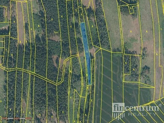 Prodej les - Radkov, okres Jihlava, Kraj Vysočina - 2