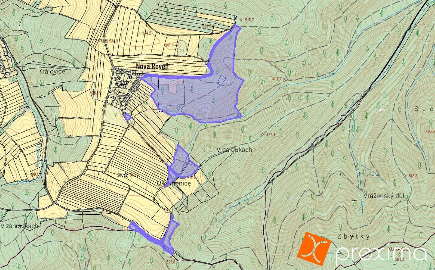 Les · Městečko Trnávka, okres Svitavy - 3