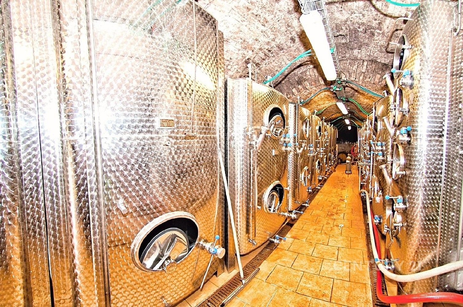 Ostatní, Strachotín, okres Břeclav, Jihomoravský kraj, 200 m² - 1