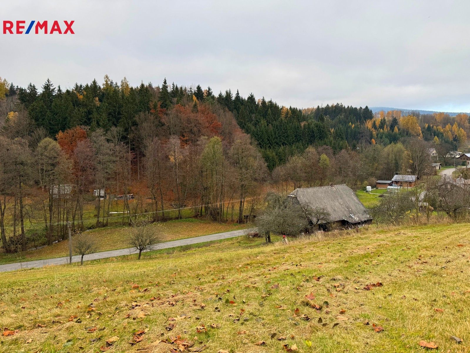 Prodej pozemek pro bydlení - Orličky, 1 m²