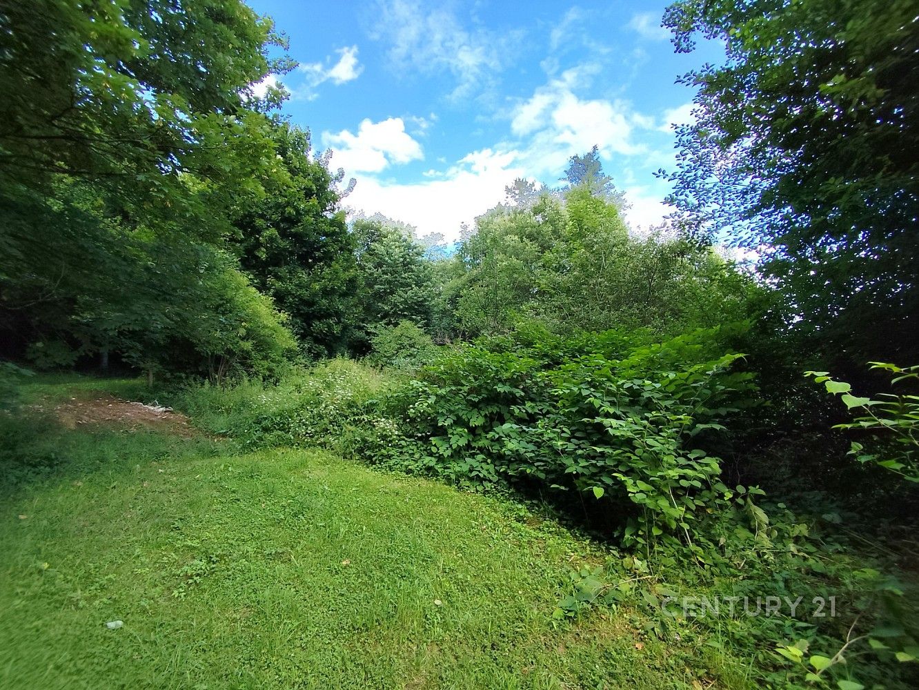 Zahrada · Včelnička, okres Pelhřimov, Kraj Vysočina - 3