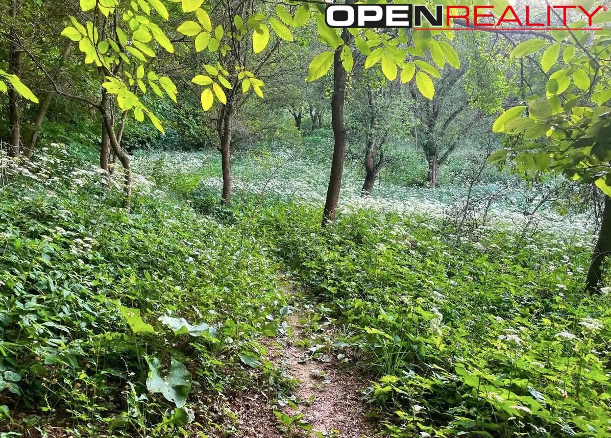 Pozemek pro bydlení · 3 963 m² · Hájek, Klobouky u Brna - 4