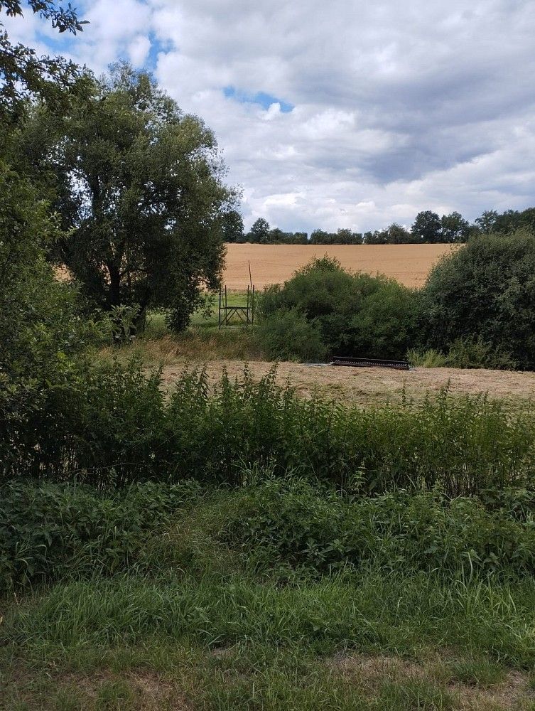 Louka · Líšťany - Košetice, okres Plzeň-sever, Plzeňský kraj - 3