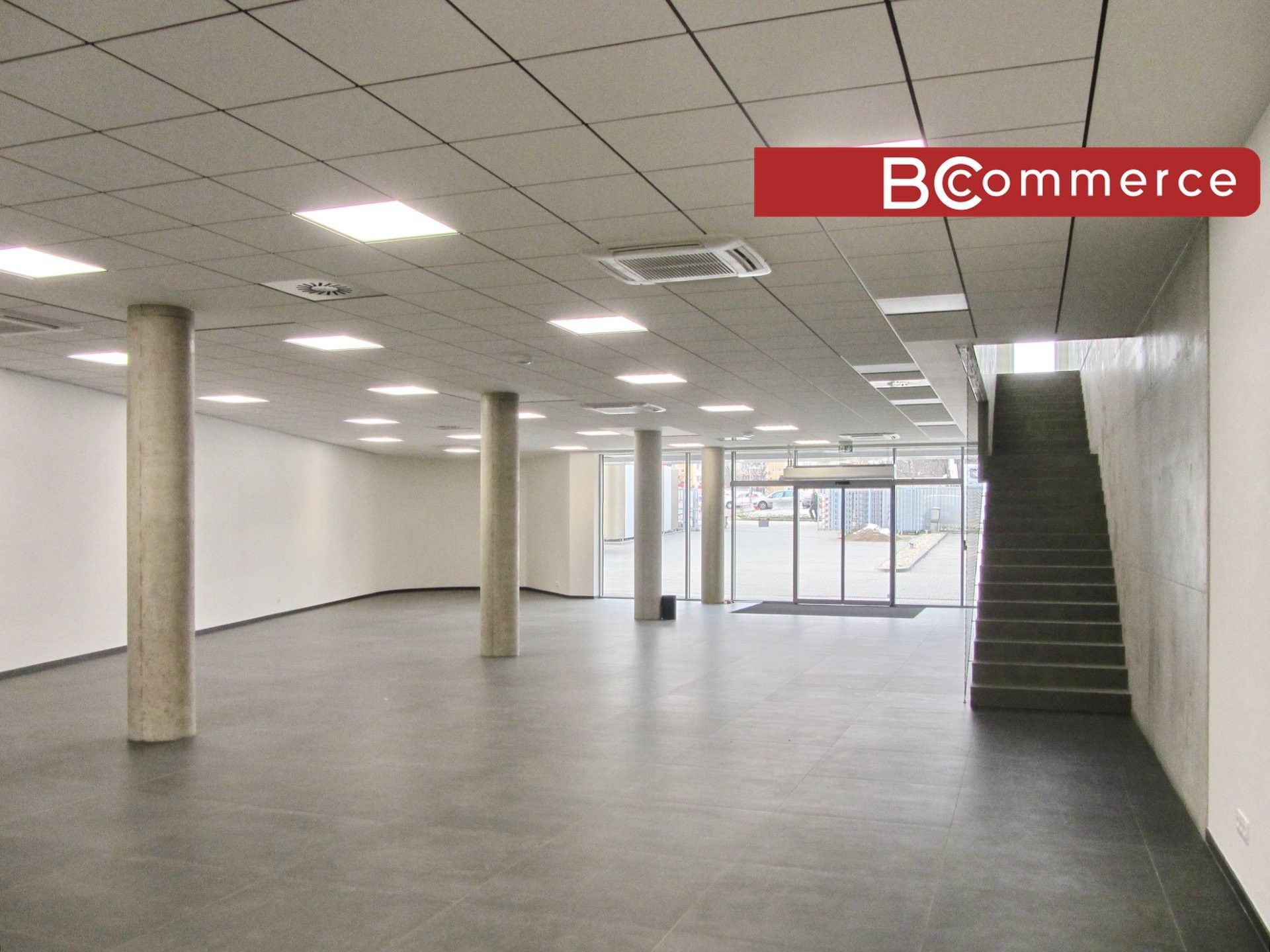 Pronájem obchodní prostory - Polní, Brno, 460 m²