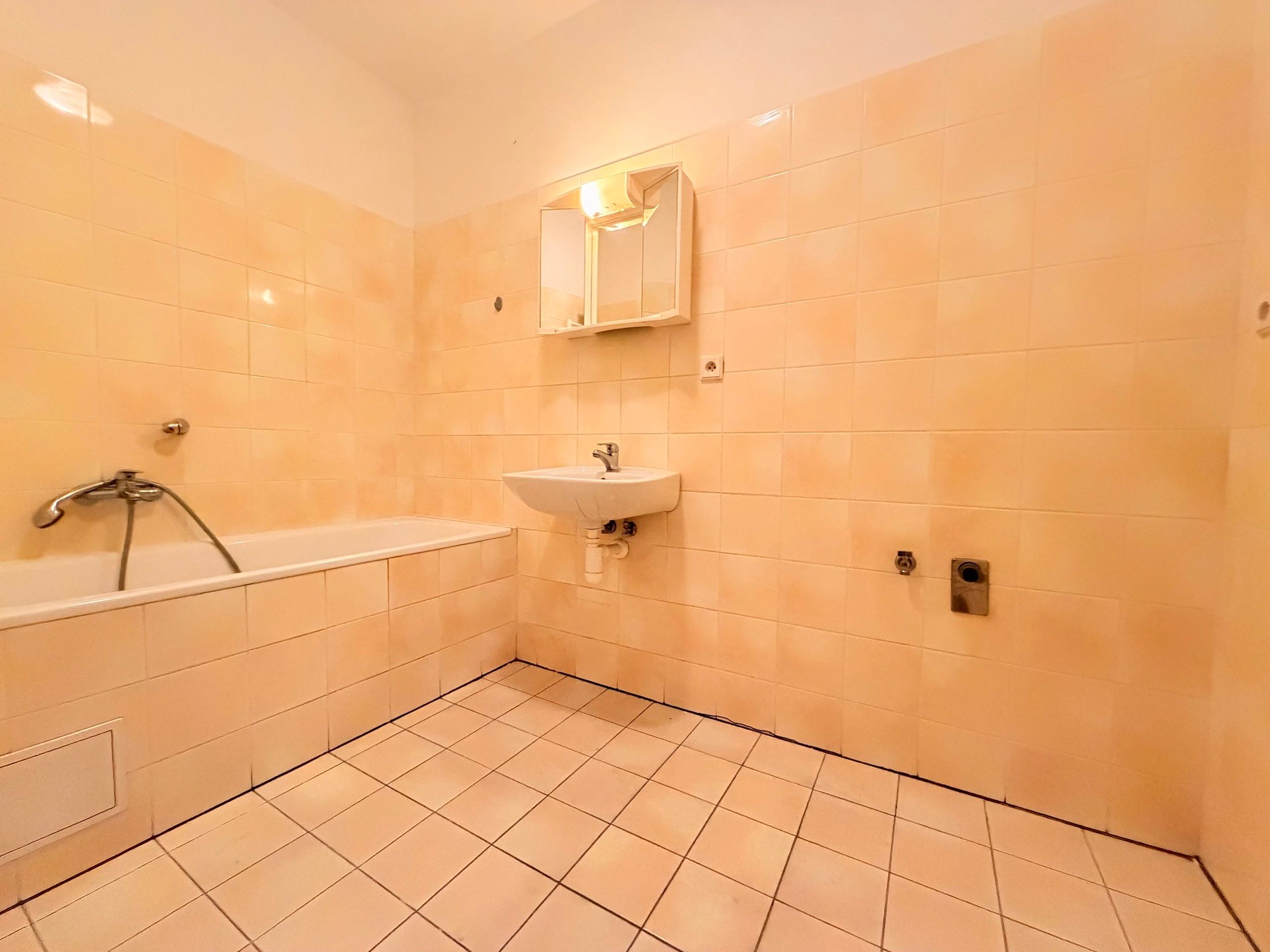 3+1 Apartment in Plzeň - View 4