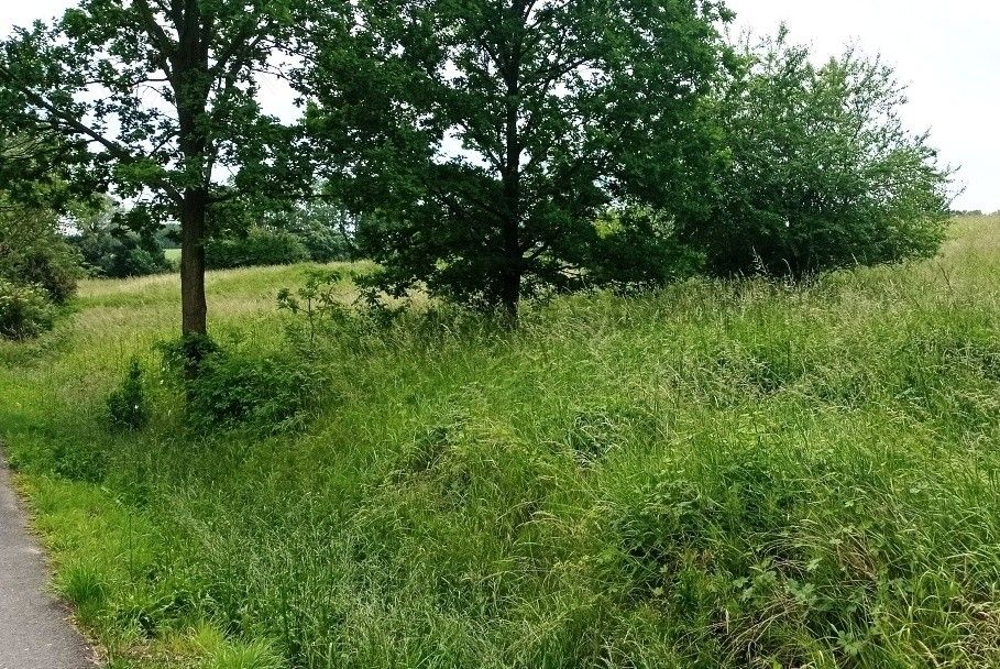 Pozemky pro bydlení, Hranice, 753 01