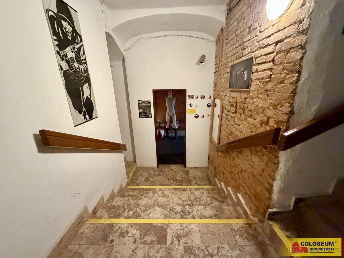 Pronájem ostatní - Znojmo, 669 02 - 5