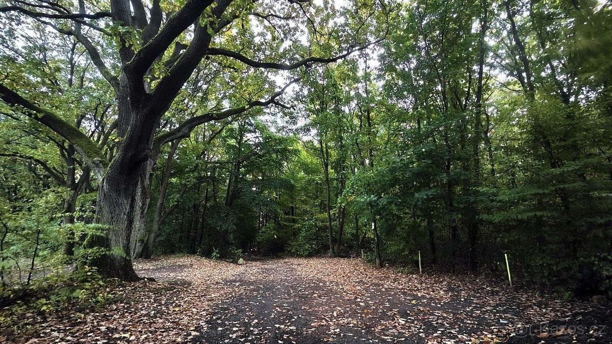 Zahrady, Dubí u Teplic, 417 01