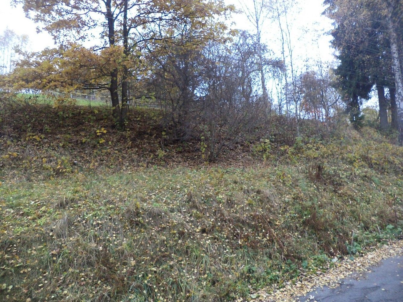 Prodej pozemek - Zlatá Olešnice, okres Jablonec nad Nisou, Liberecký kraj - 2