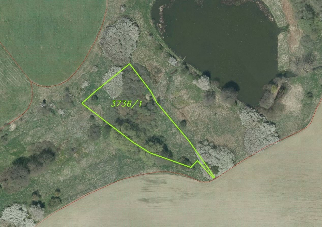 Prodej zemědělský pozemek - Tachov, 27 085 m² - 5