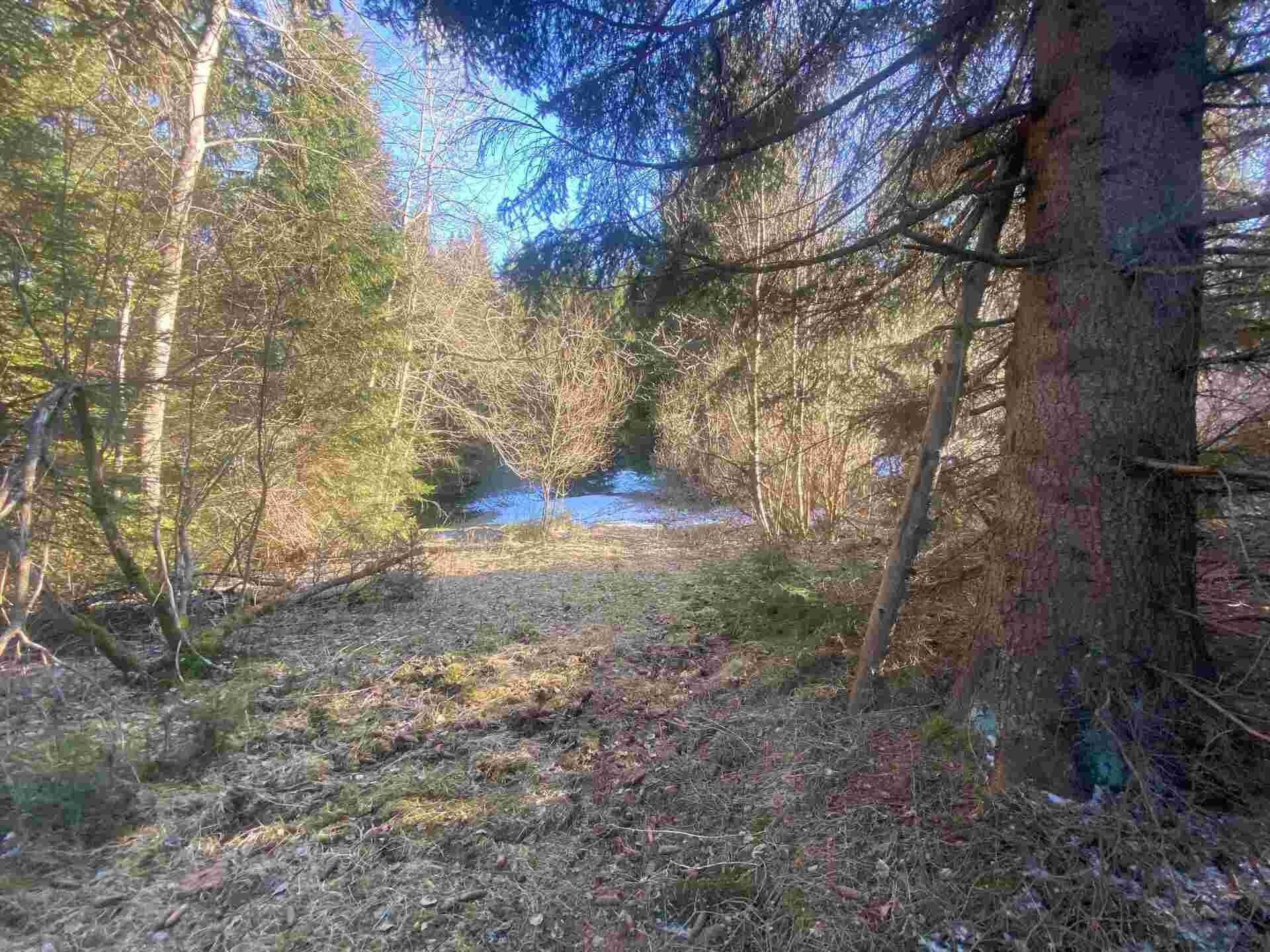 Ostatní, Čachrov Javorná, 2 391 m² - 2