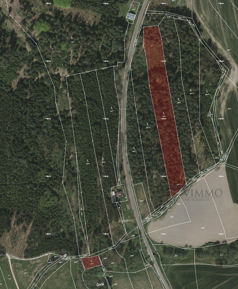 Lesy, Borovany - Trocnov, okres České Budějovice, Jihočeský kraj - 1