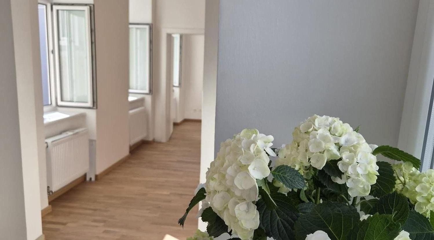3+1, Stuwerviertel Wien 2. Bezirk Wien 1020, 46 m² - 1