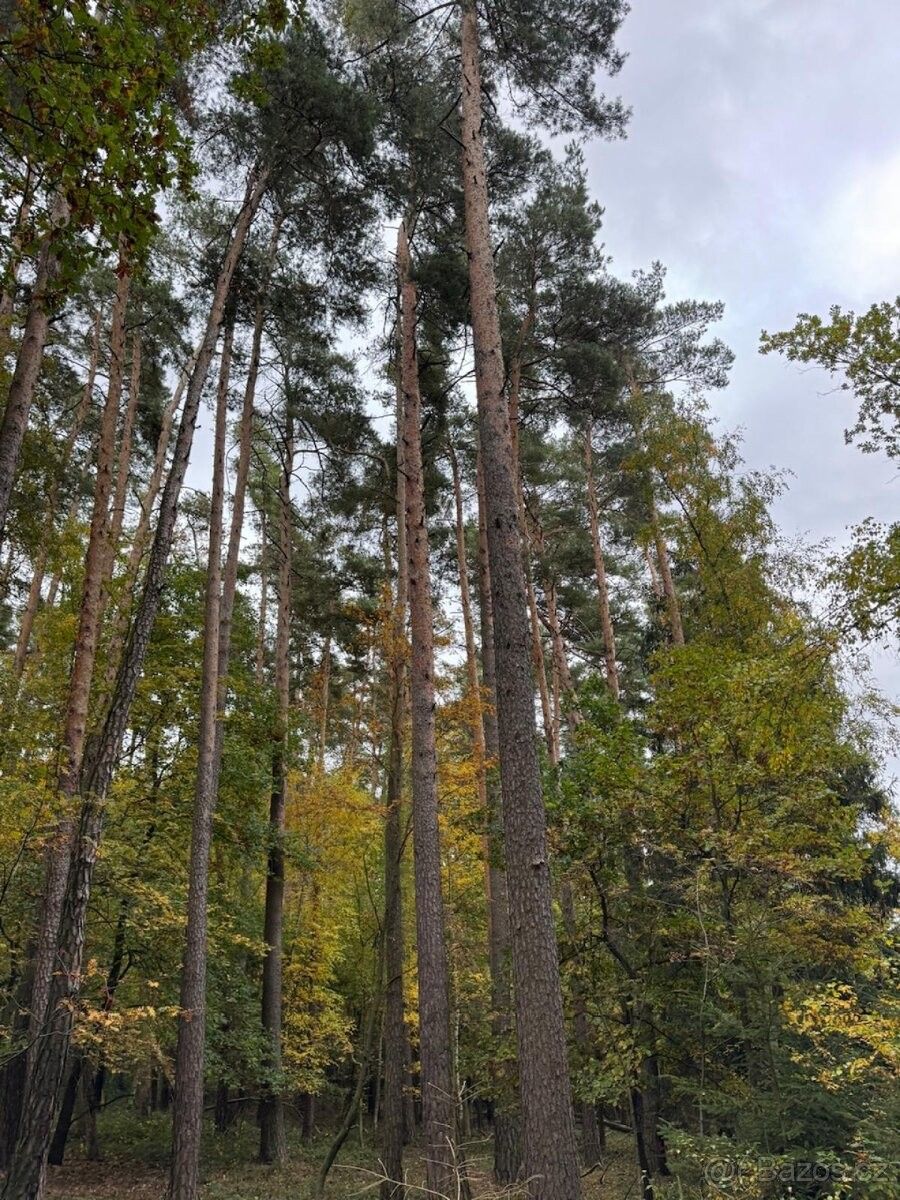 Pozemek pro bydlení
