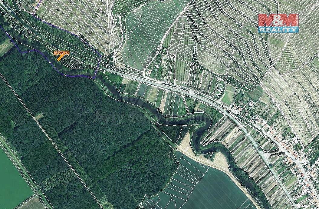Les · Židlochovice, okres Brno-venkov, Jihomoravský kraj - 4