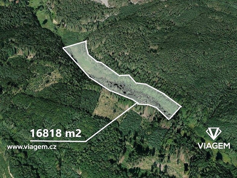 Les · Kněžmost, okres Mladá Boleslav, Středočeský kraj - 4