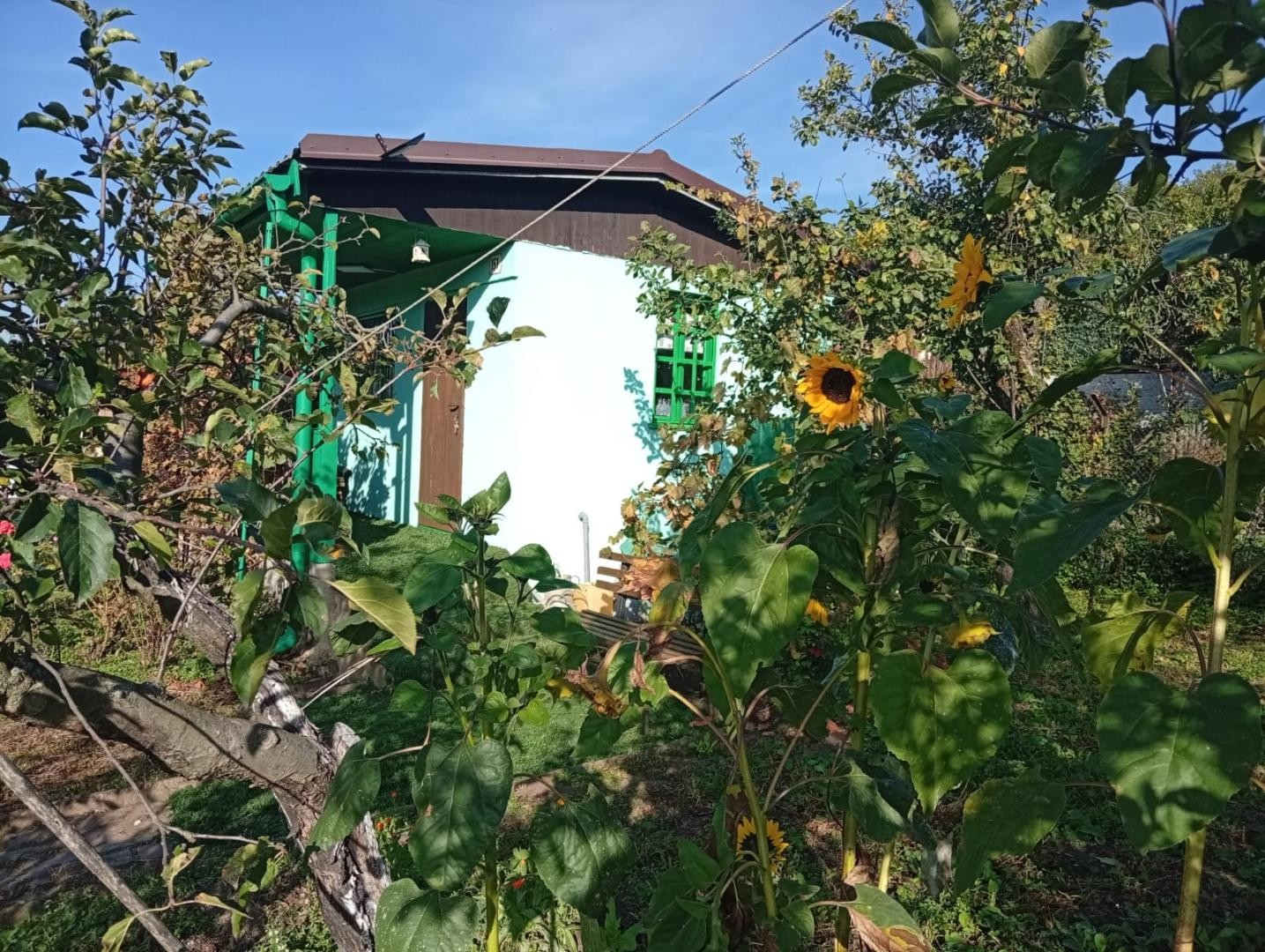Prodej zahrada - Chlumská, Bílina Teplické Předměstí - 5
