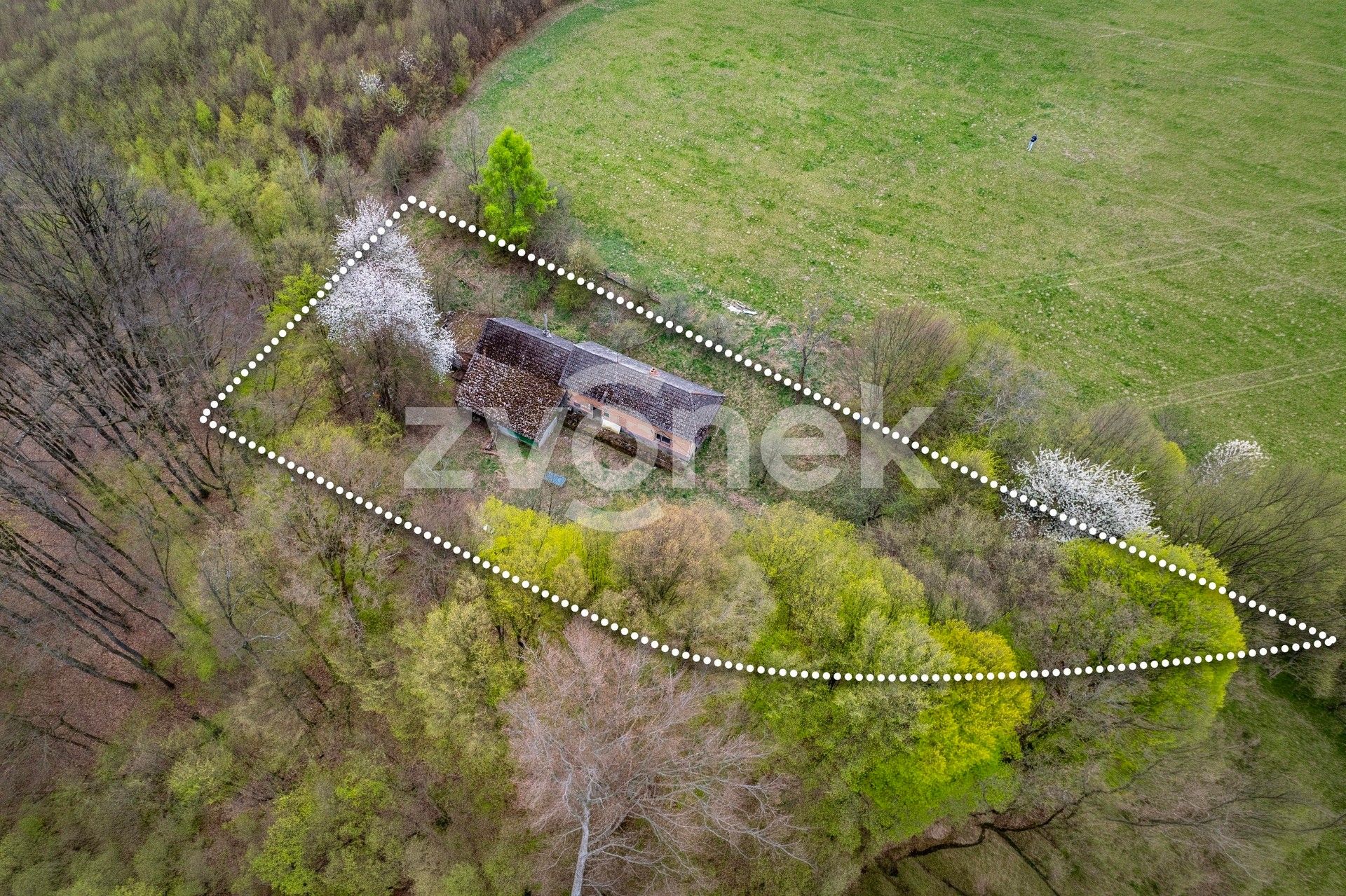 Prodej rodinný dům - Březnice, 210 m² - 5