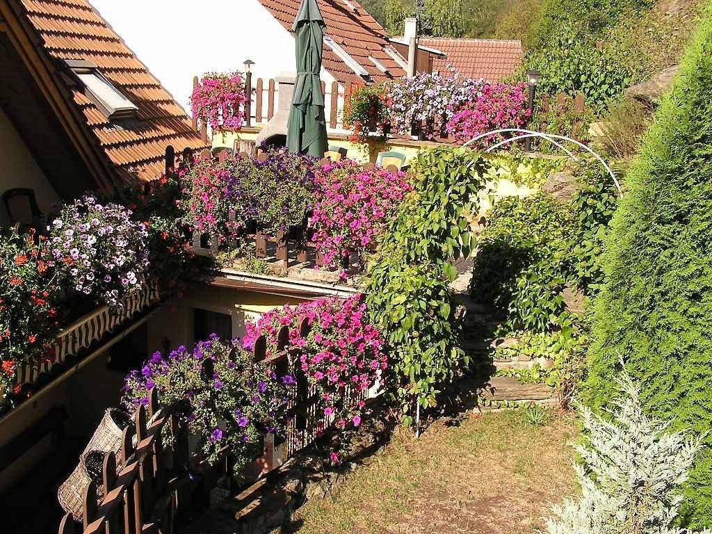 Chaty, Vranov nad Dyjí - Vranov nad Dyjí, Jihomoravský kraj - 2