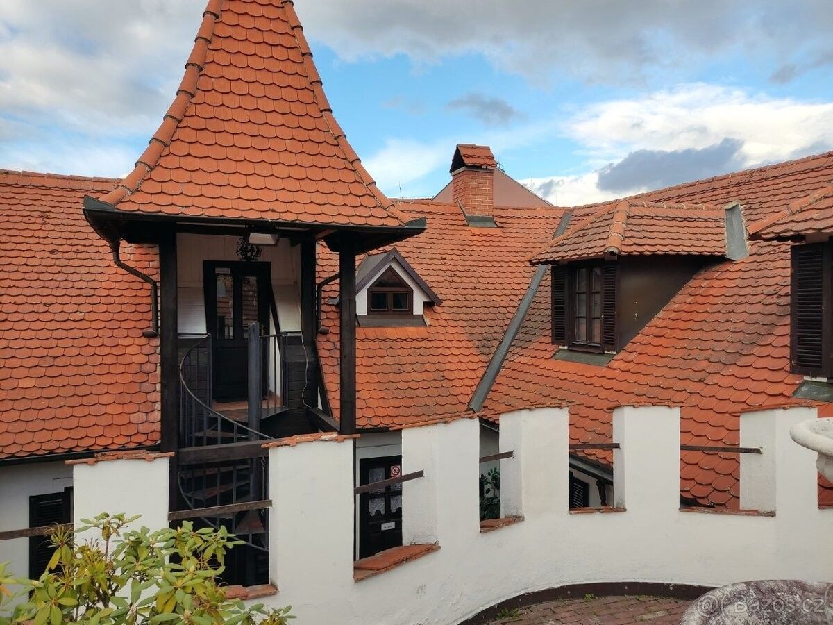 Restaurace, Sedlčany, 264 01 - 1