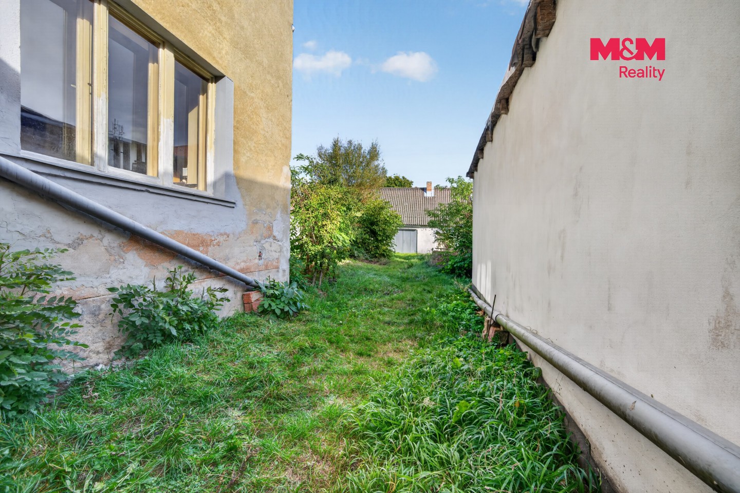 Prodej rodinný dům - Mariánské náměstí, Černovice, 237 m² - 5