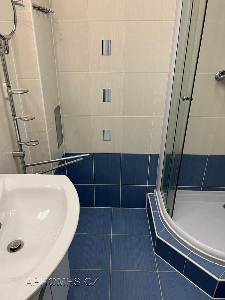 Pronájem byt 1+1 - Praha - Karlín, okres Praha 8, Hlavní město Praha, 46 m² - 5
