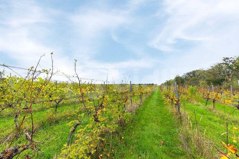 Zemědělské pozemky, Pohořelice - Nová Ves, okres Brno-venkov, Jihomoravský kraj - 2