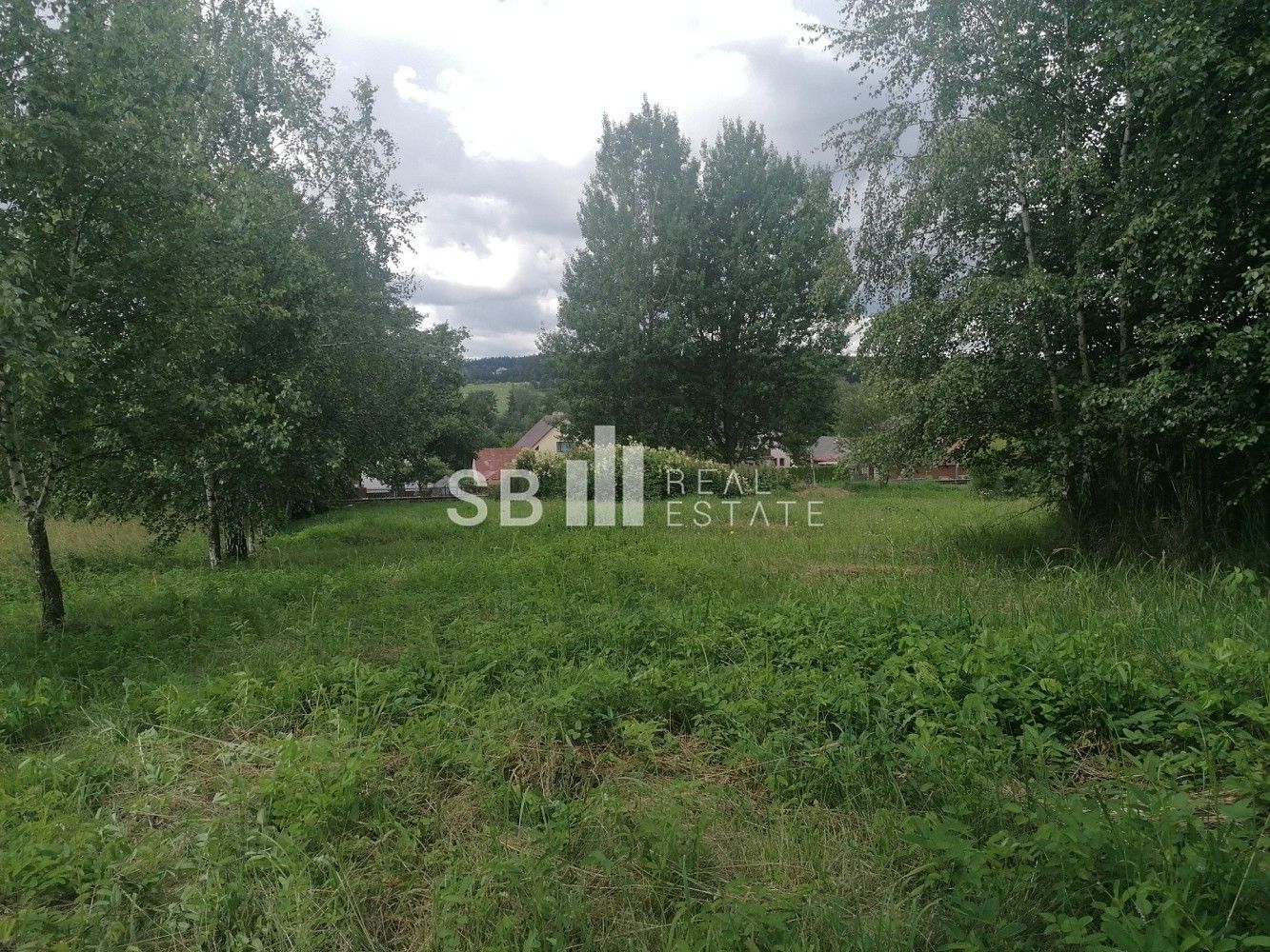 Prodej pozemek pro bydlení - Borová, okres Svitavy, Pardubický kraj - 2