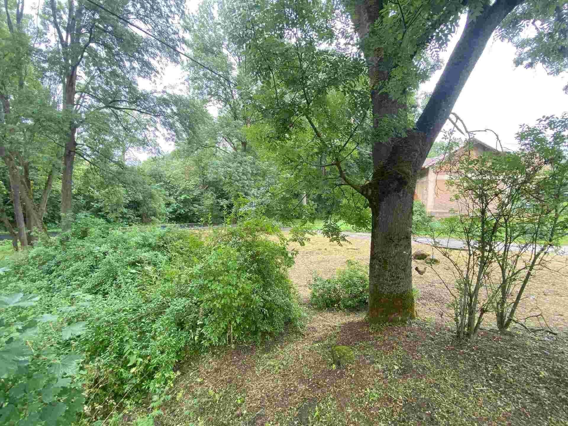 Pozemek · 1 993 m² · Březová - 4