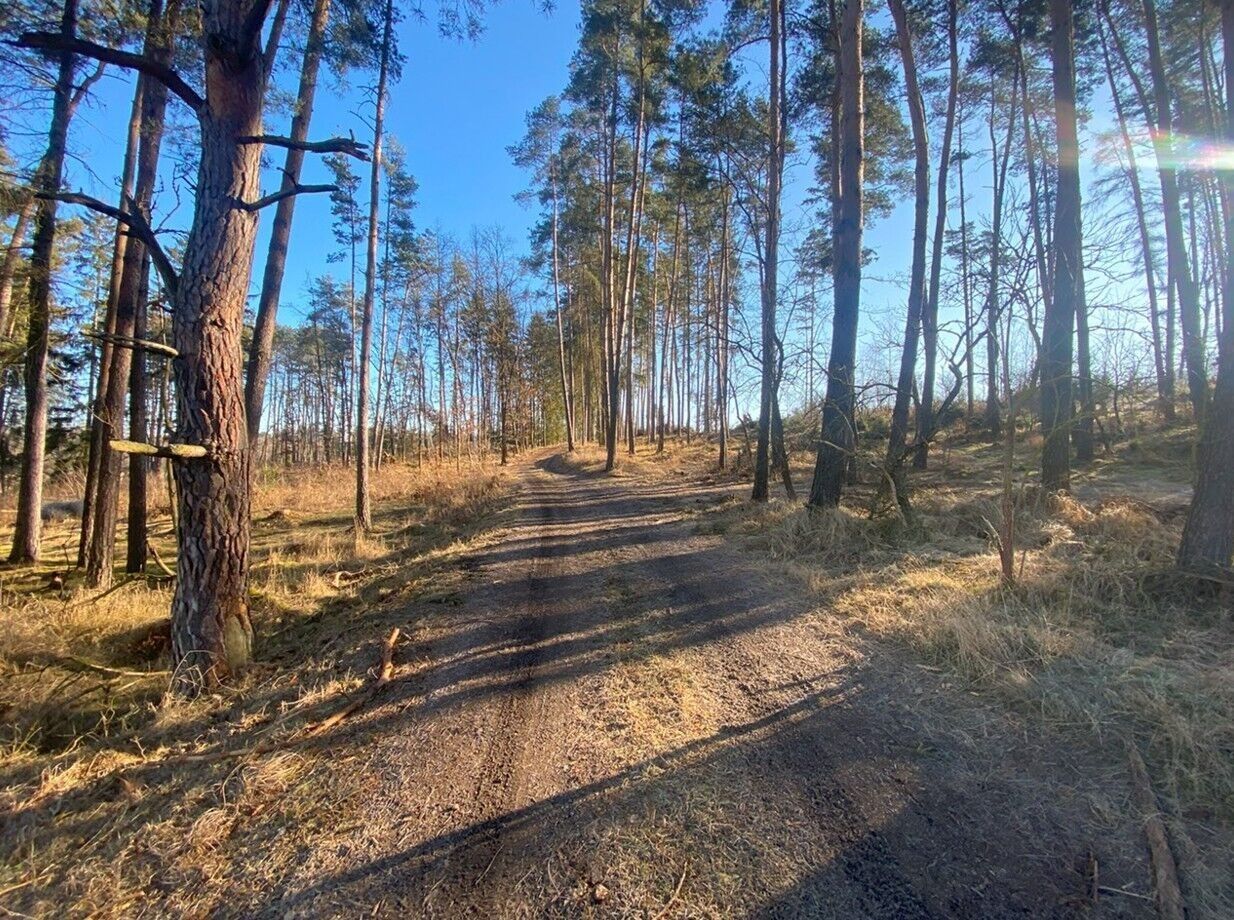 Pozemek · 3 847 m² · Kočov Klíčov - 4