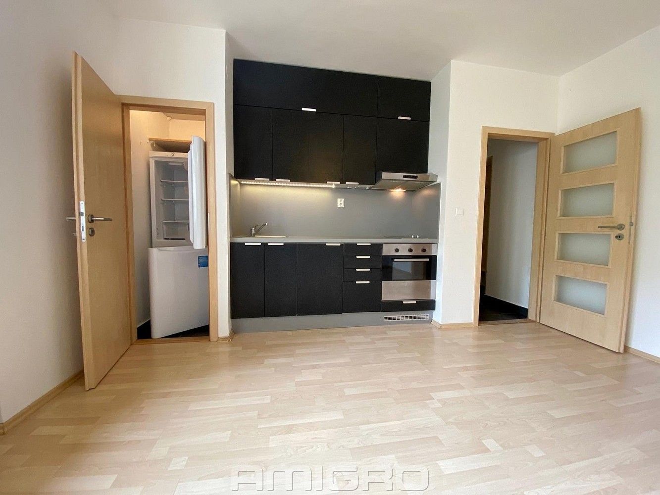 2+kk, Brno - Veveří, okres Brno-město, Jihomoravský kraj, 46 m² - 2