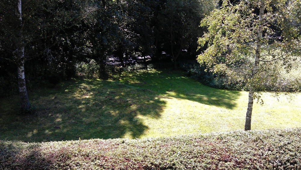 Prodej chata - Benešov nad Černou, 382 82 - 5