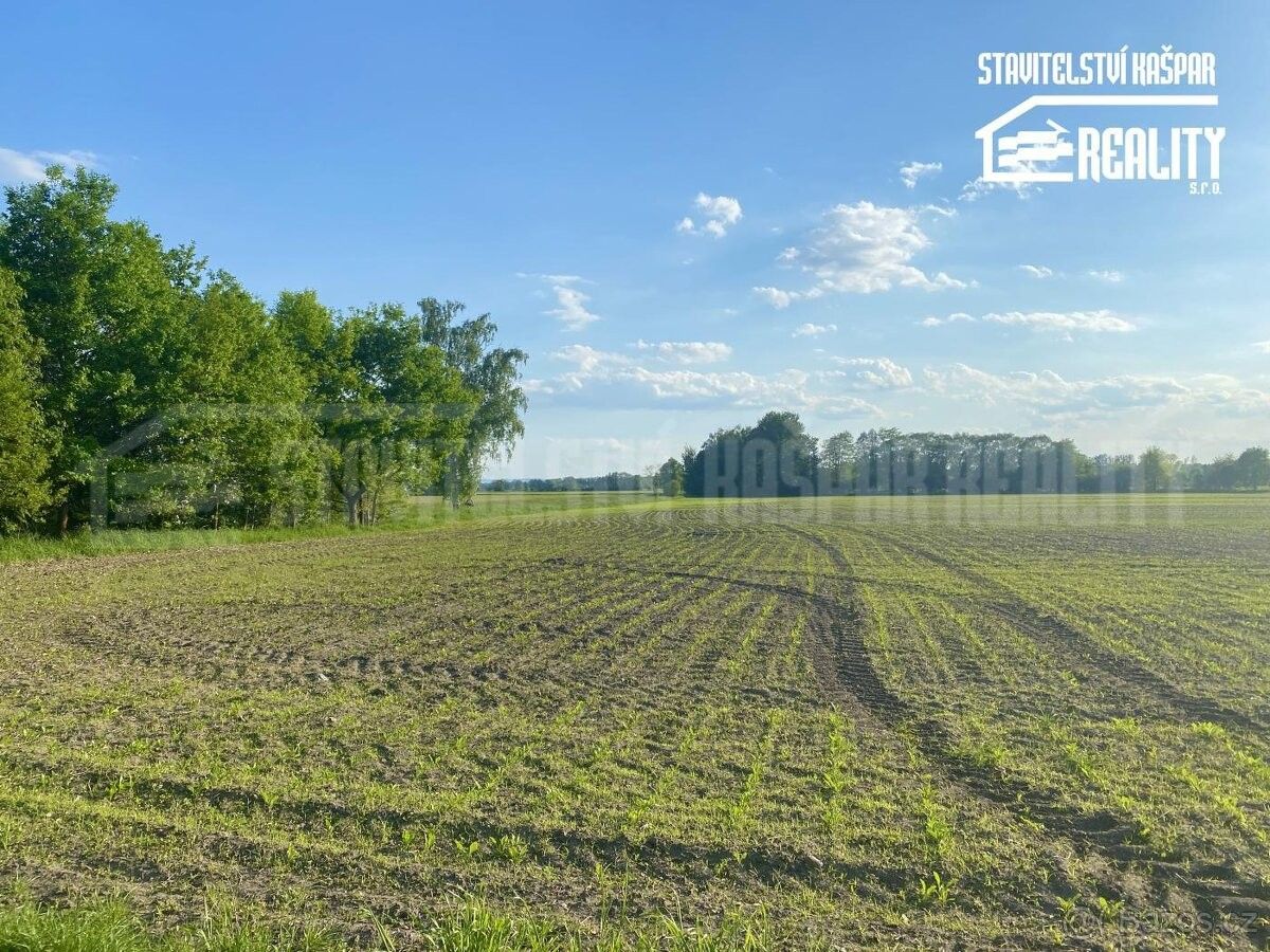 Prodej pozemek pro bydlení - Barchov, 530 02