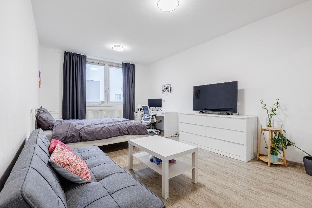 4+1, Turgeněvova, Brno - Černovice, Jihomoravský kraj, 90 m² - 2