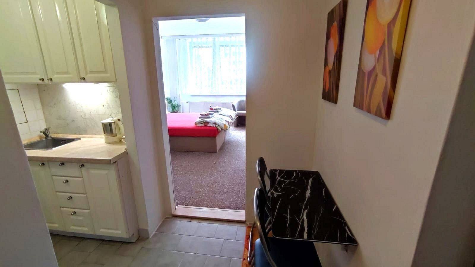 Byt 1+kk · 30 m² · Zlín, Zlínský kraj - 3