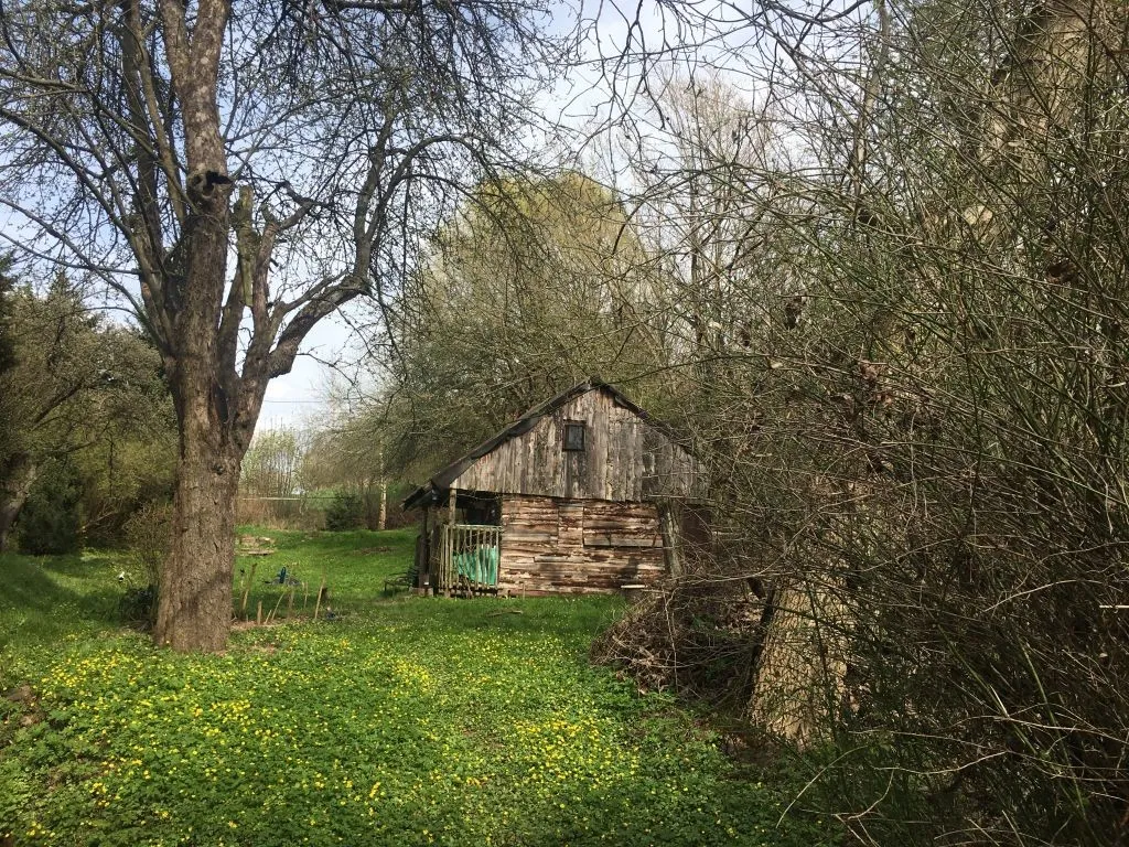 Ostatní