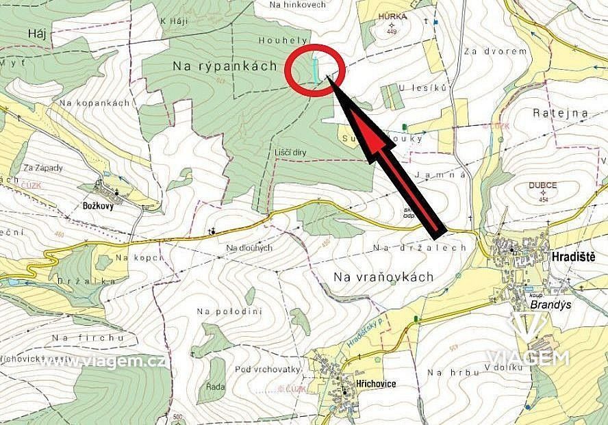 Les · Blížejov, okres Domažlice, Plzeňský kraj - 4