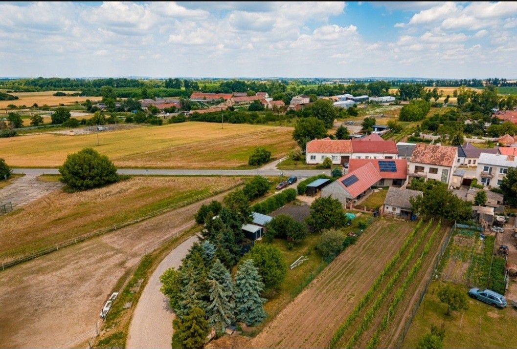 Rodinné domy, Kostice u Břeclavě, 691 52 - 2