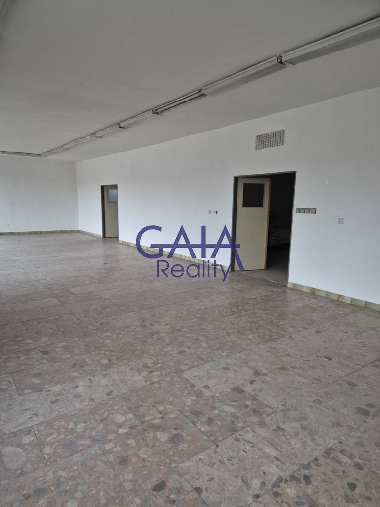 Prodej obchodní prostory - Staré Město pod Landštejnem, 307 m²