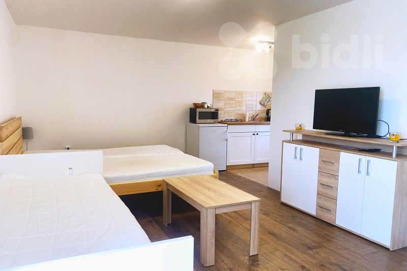 Pronájem byt 1+kk - Zálší, 22 m²