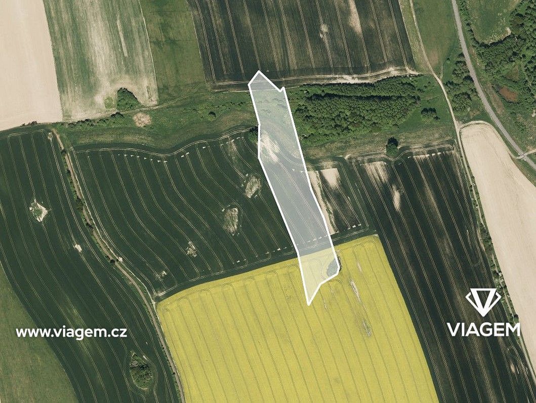 Zemědělské pozemky, Jindřichov, okres Bruntál, Moravskoslezský kraj - 2