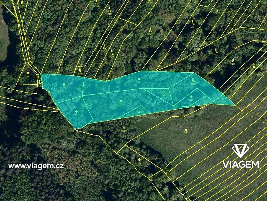 Les · Velký Ořechov, okres Zlín, Zlínský kraj - 4