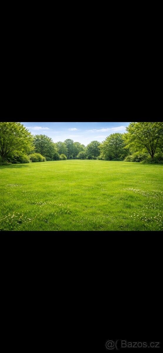 Pozemky pro bydlení, Slavičín, 763 21