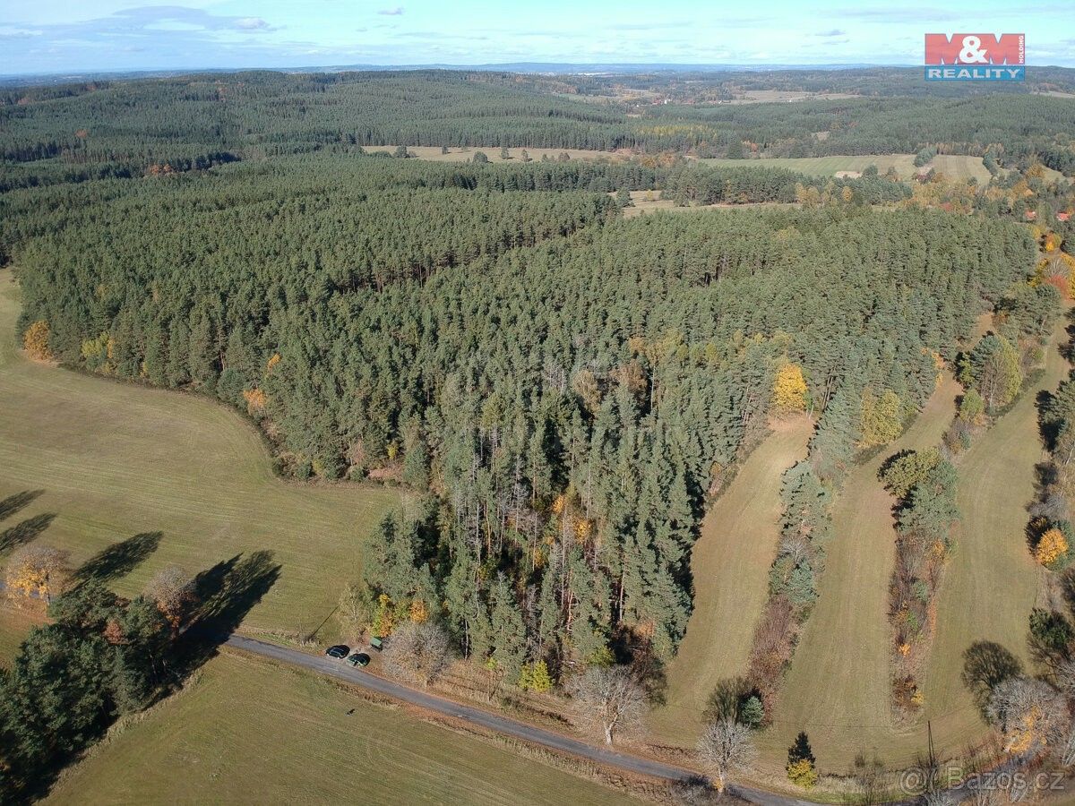 Prodej les - Nová Bystřice, 378 33, 20 805 m²