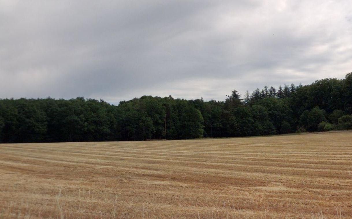 Prodej louka - Líštěnec, Bystřice, 327 m²